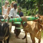 3 Days Glimpse of Sri Lanka - Why This Tour Offers Great Value