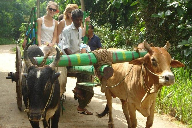 3 Days Glimpse of Sri Lanka - Why This Tour Offers Great Value