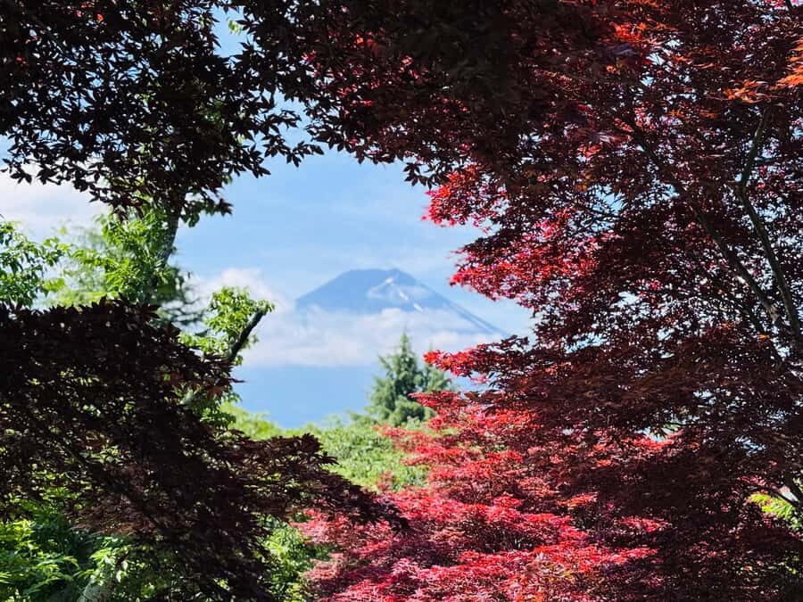 3 Days Japan Tour Package With English Speaking Driver - Mount Fuji: Japan’s Iconic Wonder