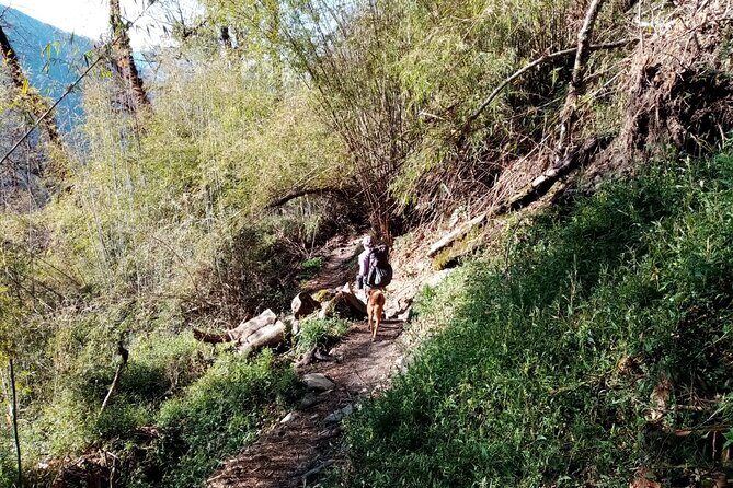 3 Days Kori Trek from Pokhara - What Makes This Trek Special?