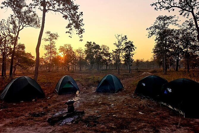 3 Days Private Xe Champhone Elds Deer Sanctuary Tour. - Authentic Local Experiences and Optional Activities