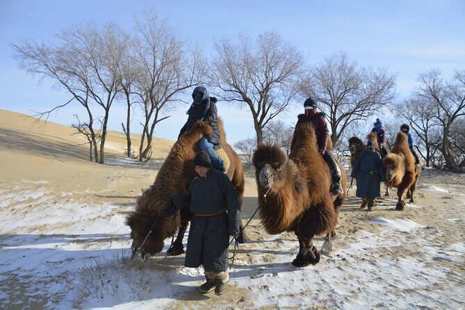 3 Days Silence-White Winter Tour - The Sum Up