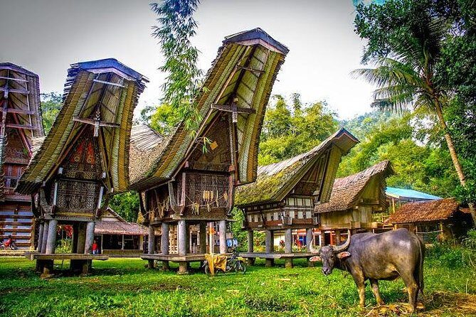 3 Days Tana Toraja from Makassar: Kete Kesu Village, Menhir to Funeral Burial - Day 1: Exploring the Heart of Toraja Culture