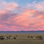 3 Days Three different natural zone and Ancient capital city - How the Experience Comes Together