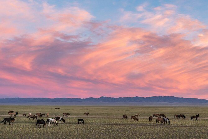 3 Days Three different natural zone and Ancient capital city - How the Experience Comes Together