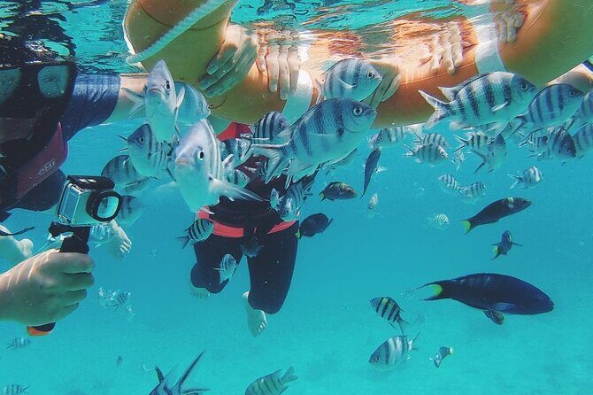 3 Days Tioman Island Package from Singapore (Private tour) - Detailed Breakdown of the Tour Experience