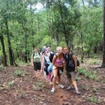 3 Days Trekking Tour to Mae Wang Jungle from Chiang Mai - Authentic Experiences That Stand Out