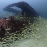 3 Fun Dives for Certified diver at Racha Yai/Noi - What Sets This Tour Apart?