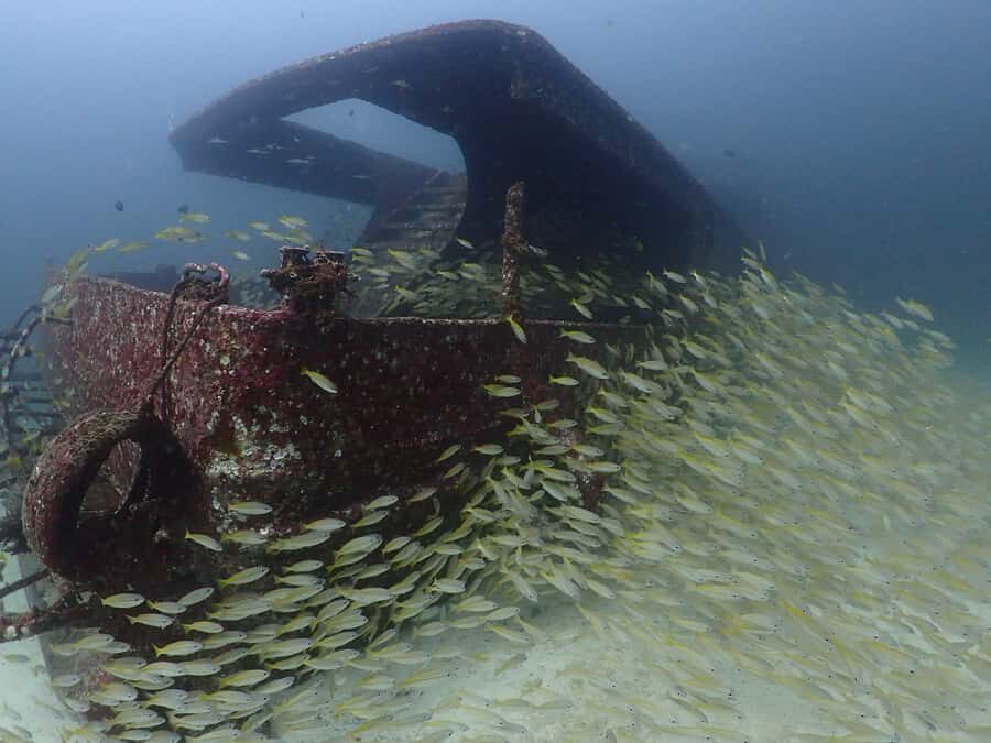3 Fun Dives for Certified diver at Racha Yai/Noi - What Sets This Tour Apart?