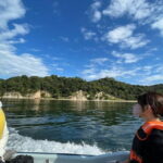3 Hour Nanaura Tour around Miyajima with Lunch Box - A Detailed Look at the Tour Experience