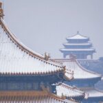 3 Hours Beijing Palace Museum Guided Tour English or Chinese - The Value of the Tour