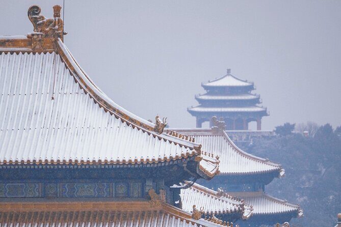 3 Hours Beijing Palace Museum Guided Tour English or Chinese - The Value of the Tour