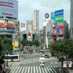 3 to 5 Hours Private Tour in Tokyo with Local Guide - What’s Included and What to Keep in Mind