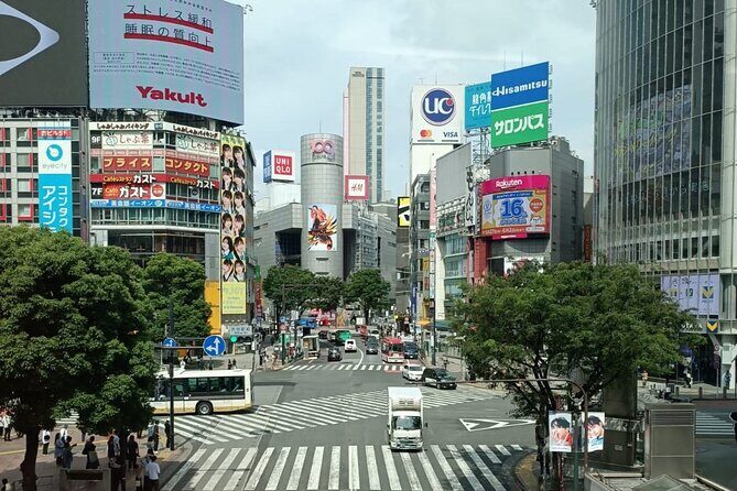 3 to 5 Hours Private Tour in Tokyo with Local Guide - What’s Included and What to Keep in Mind