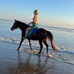 30 Minutes Horse Riding Seminyak Beach - The Itinerary and Highlights