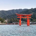 30 Minutes One Way Cruise from Miyahama Onsen to Miyajima - Analyzing the Value