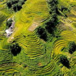 3D2N Sapa Private Tour Fansipan Mountain Exploration - Exploring Sapa: A Natural and Cultural Treasure