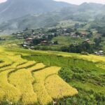 3D2N Sapa Trekking and Homestay Tour from Hanoi - Detailed Breakdown of the Sapa Trekking Tour