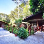 3D2N Sukau Wildlife Experience - What Makes This Tour Stand Out?