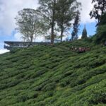 4-Day Cameron Highland and Penang Tour from Kuala Lumpur - Final Thoughts: Who Should Consider This Tour?