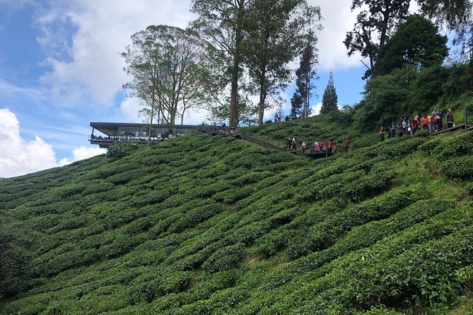 4-Day Cameron Highland and Penang Tour from Kuala Lumpur - Final Thoughts: Who Should Consider This Tour?