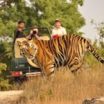 4 Day Golden Triangle with Ranthambore Tiger Safari from Delhi - Authentic Experiences & Tips