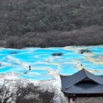 4-day tour of Jiuzhaigou Valley Scenic and Historic Interest Area - Day 1: Panda Experience at Dujiangyan Panda Base
