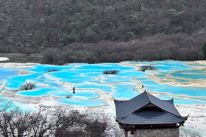4-day tour of Jiuzhaigou Valley Scenic and Historic Interest Area - Day 1: Panda Experience at Dujiangyan Panda Base