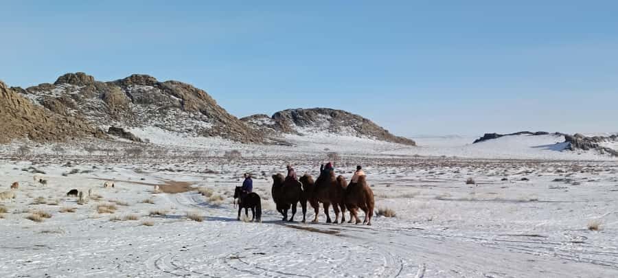 4-Day Winter Adventure Tour/Central Mongolia - What to Expect and Practical Details