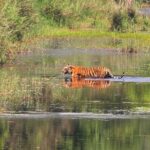 4 Days Bardia National Park Tour - Practical Details and Value