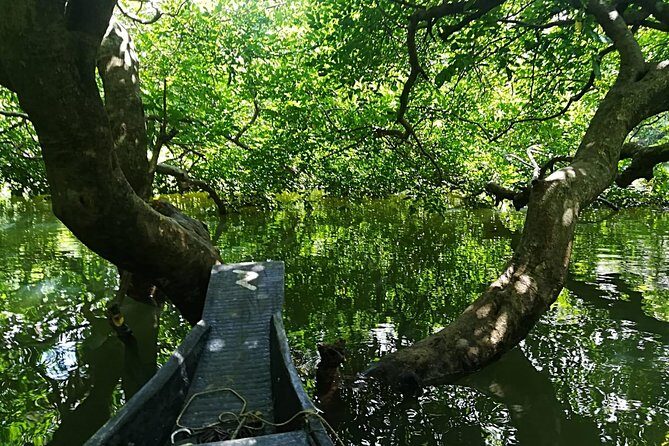 4 days Dhaka to Sylhet & Srimangal - Authentic Experiences and Hidden Gems