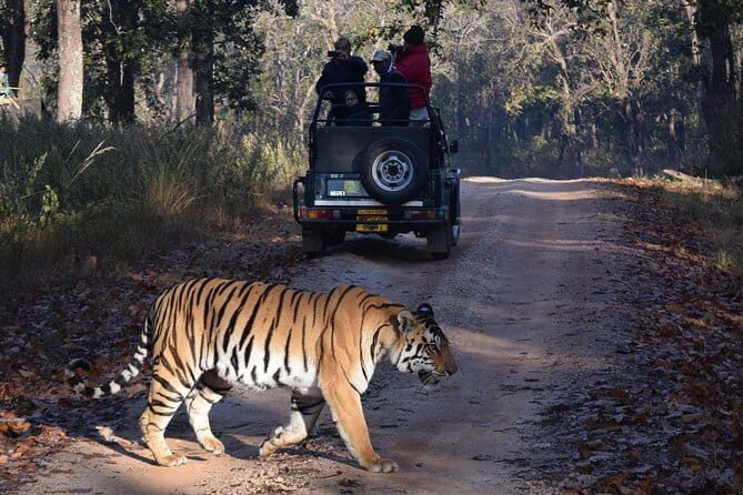 4 Days Golden Triangle Tour with Ranthambore Tiger Safari - What Makes This Tour Stand Out