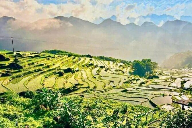 4 Days Hanoi to Pu Luong and Ninh Binh Culture Nature Adventure - Day-by-Day Breakdown of the Experience