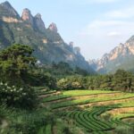 4 Days Zhangjiajie Classic Tour & Activities (5-star Hotel) - Day 2: Yuanjiajie and Tianzi Mountain