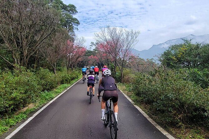 4 Hour Cycling in Taipei - Price & Value Analysis