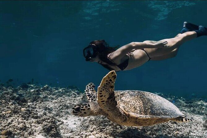 4-in-1 Nusa Lembongan Snorkel and Sunset Half Day Dinner Cruise - The Sum Up