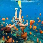 4 Spot Nusa Penida Snorkeling Manta Rays Reefs & 2 Hours Spa - What Makes This Tour Stand Out?