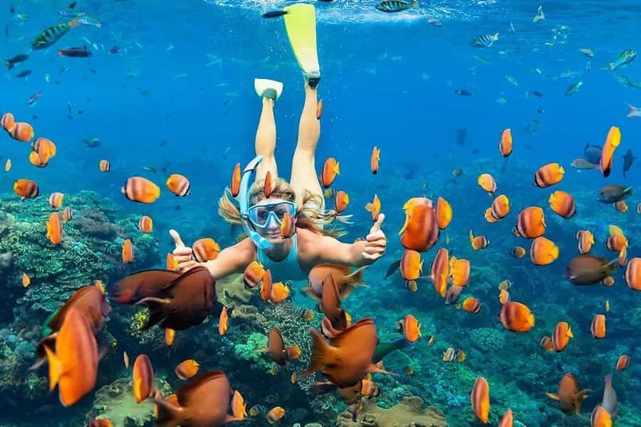 4 Spot Nusa Penida Snorkeling Manta Rays Reefs & 2 Hours Spa - What Makes This Tour Stand Out?