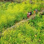 4D3N Ha Giang Loop Group Tour from Ha Giang - Who Should Consider This Tour?