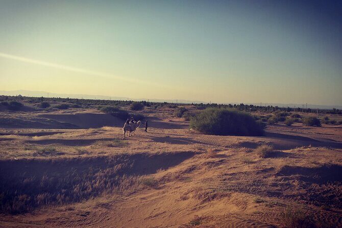 4D3N Huitengxile Grassland Wulanhada volcano Kubuqi Desert Tours - Wulanhada Volcano Geopark: Nature’s Lava Art