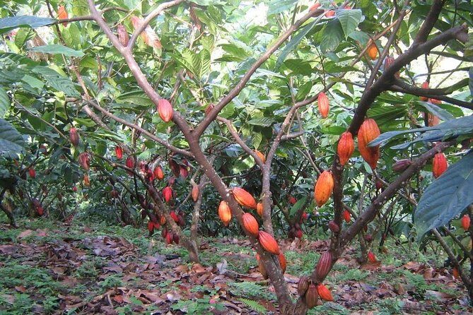 4Days tour to Saigon from Dalat - The Itinerary in Detail