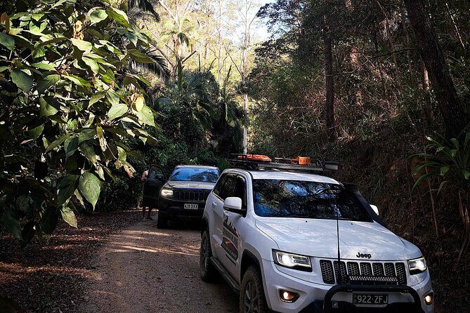 4WD Guided Day Trip In D'Aguilar National Park - Exploring the Wilderness of DAguilar National Park