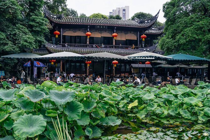 5 Day Natural Panda Paradise Tour in Chengdu - Panda Encounters: The Heart of the Tour