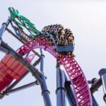 5-Day Theme Park Pass & Sea World Cruise Combo Ticket - The Itinerary in Detail