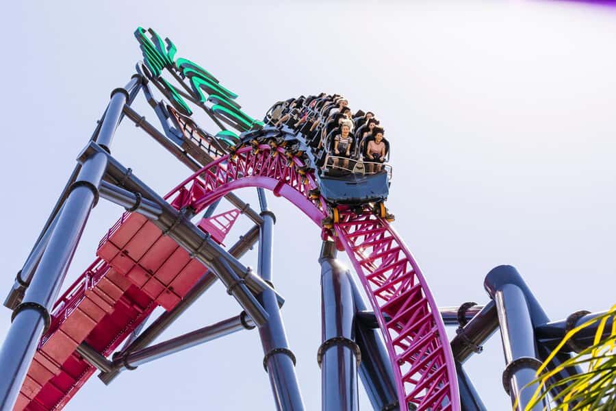 5-Day Theme Park Pass & Sea World Cruise Combo Ticket - The Itinerary in Detail