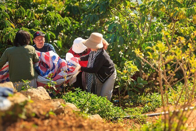 5 Days Authentic Dalat Coffee Farm & Hiking Experience - What Makes This Tour Stand Out?