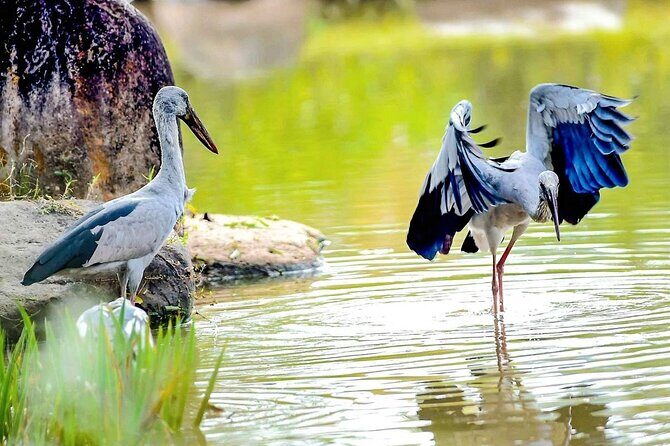 5 Days Private Bangladesh Tour Tea & Rainforest - Day 1: Setting Off from Dhaka to Srimangal