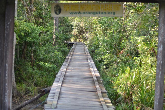 5 Days Truly Orangutan Wildlife Jungle Trail
