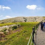 5-Hour Vegetarian Private Tour - Visit Yangmingshan and Taste Veggie Cuisine - Culinary Experience: Vegetarian Food in Focus