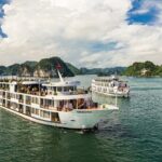 5 Star Cruise Halong Bay 2D1N Luxury Tour from Hanoi - The Value of the Experience